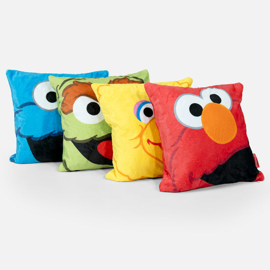 Housse de Coussin 47 x 47cm - Big Bird03