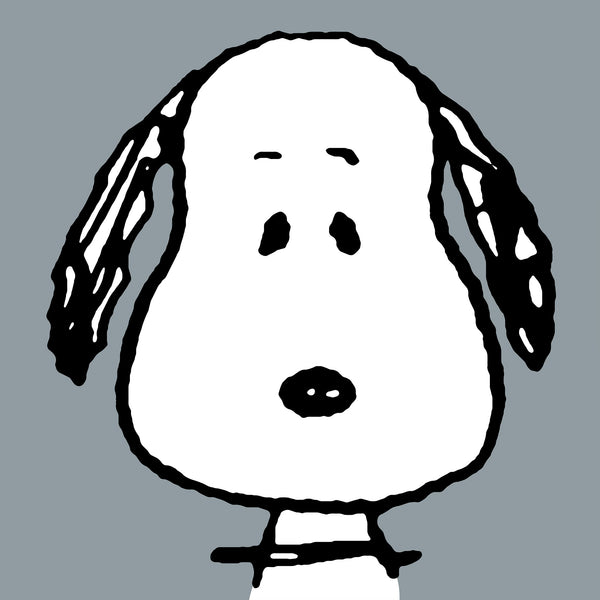 Snoopy Coussin de Lecture avec Dossier - Grand Snoopy Fabric Close-up Image