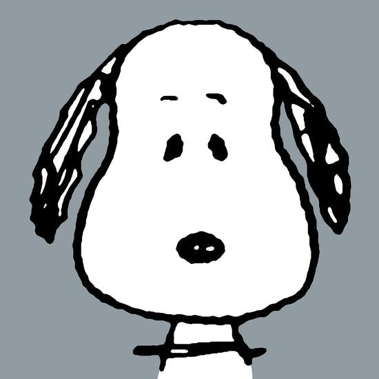 Snoopy Coussin de Lecture avec Dossier - Grand Snoopy 03