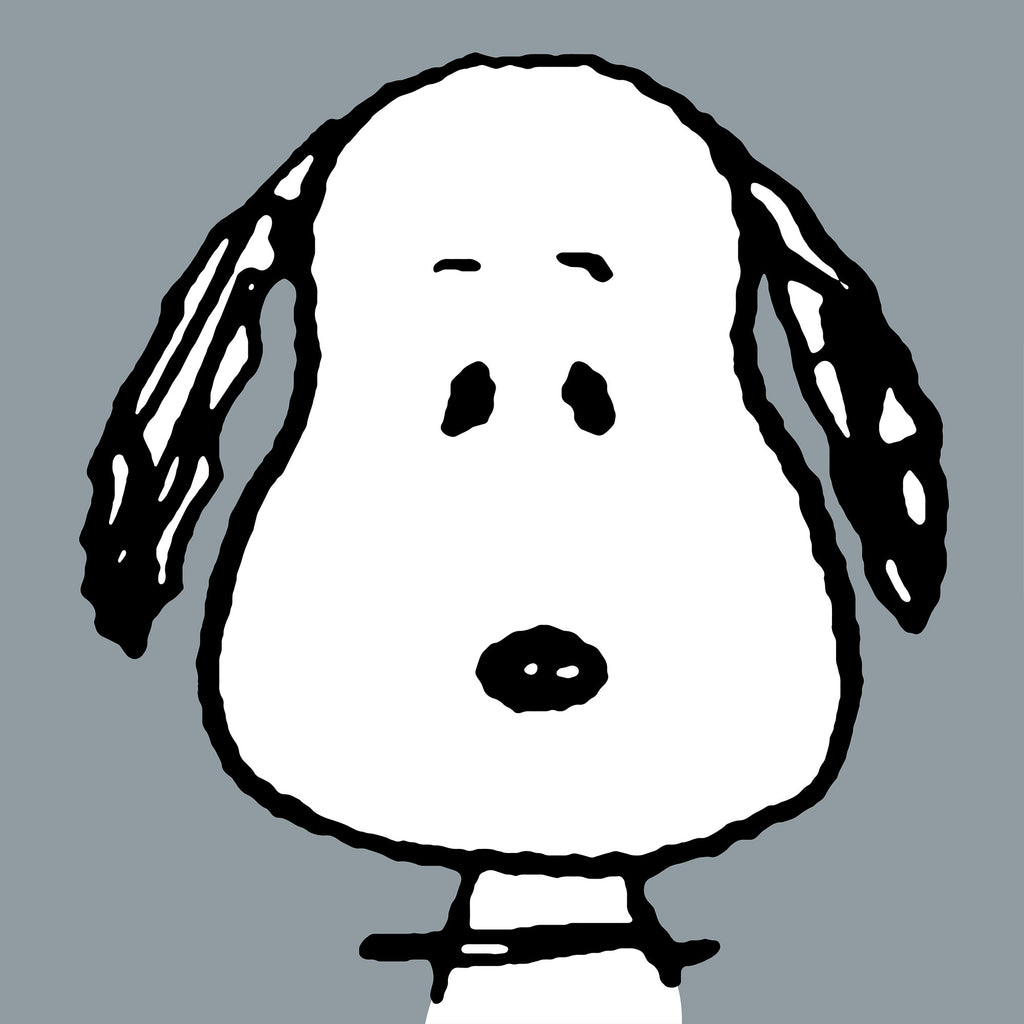 Snoopy Coussin de Lecture avec Dossier pour Enfants - Grand Snoopy 03