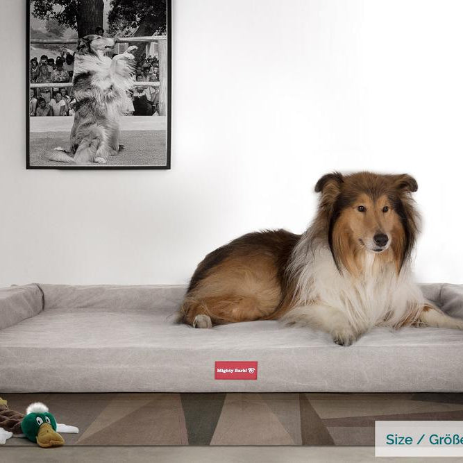 "Le Sofa Par Mighty Bark" -  Canapé Pour Chien, Orthopédique à Mémoire De Forme, Panier Pour Chien, Lit Pour Chien, Petit, Grand, XXL - Stonewashed Gris