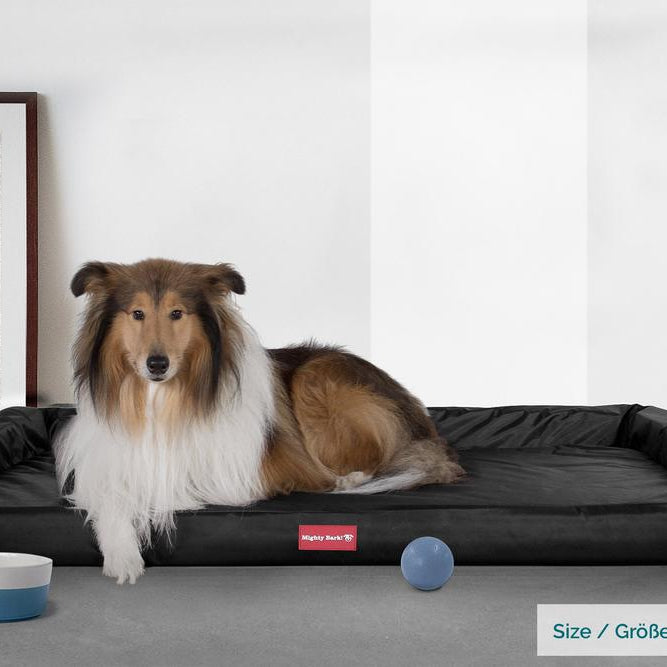 "Le Sofa Par Mighty Bark" -  Canapé Pour Chien, Orthopédique à Mémoire De Forme, Panier Pour Chien, Lit Pour Chien, Petit, Grand, XXL - Imperméable Noir