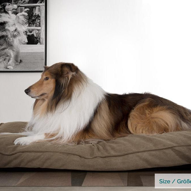 "Le Matelas Classique Par Mighty Bark" - Coussin Pour Chien, Orthopédique à Mémoire De Forme, Matelas Pour Chien, Lit Pour Chien, Petit, XXL - Stonewashed Terre Marron