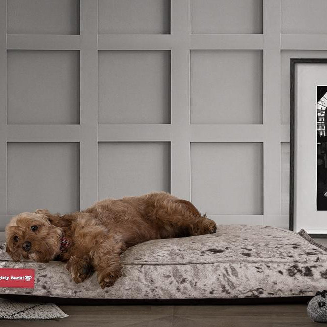 "Le Matelas Classique Par Mighty Bark" - Coussin Pour Chien, Orthopédique à Mémoire De Forme, Matelas Pour Chien, Lit Pour Chien, Petit, XXL - Clinquant Argent