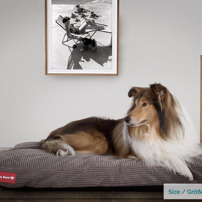 "Le Matelas Classique Par Mighty Bark" - Coussin Pour Chien, Orthopédique à Mémoire De Forme, Matelas Pour Chien, Lit Pour Chien, Petit, XXL - Pompons Anthracite