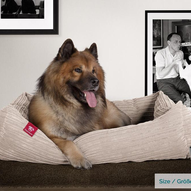 "Le Nid Par Mighty Bark" - Panier Pour Chien, Orthopédique à Mémoire De Forme, Panier Chien, Lit Pour Chien, Petit, Moyen, Grand - Côtelé Vison