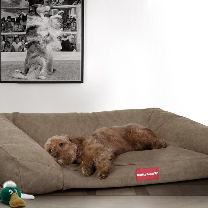 "Le Canapé Chien Par Mighty Bark" - Canapé Pour Chien, Orthopédique à Mémoire De Forme, Panier Pour Chien, Lit Pour Chien, Petit, Grand, XXL - Stonewashed Terre Marron