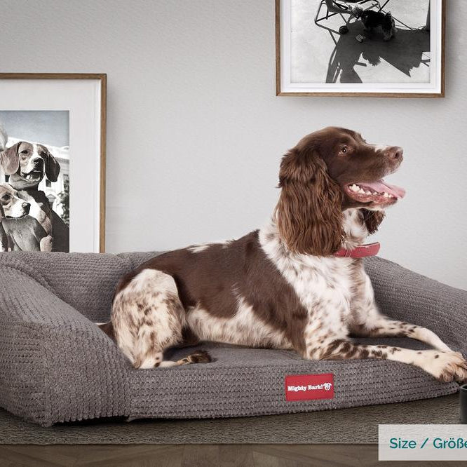 "Le Canapé Chien Par Mighty Bark" - Canapé Pour Chien, Orthopédique à Mémoire De Forme, Panier Pour Chien, Lit Pour Chien, Petit, Grand, XXL - Pompons Anthracite