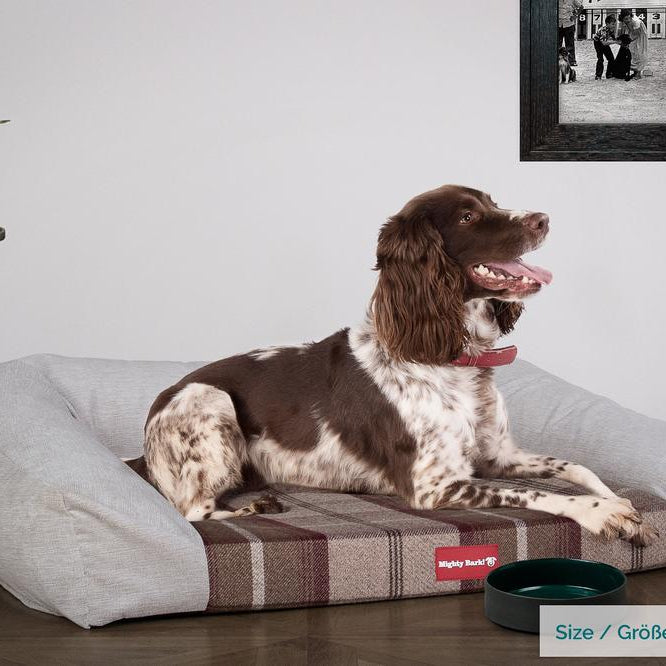 "Le Canapé Chien Par Mighty Bark" - Canapé Pour Chien, Orthopédique à Mémoire De Forme, Panier Pour Chien, Lit Pour Chien, Petit, Grand, XXL - Écossais Violet