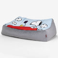 Snoopy Nuage